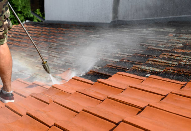 Best Roof Power Washing Services  in Marmora, NJ