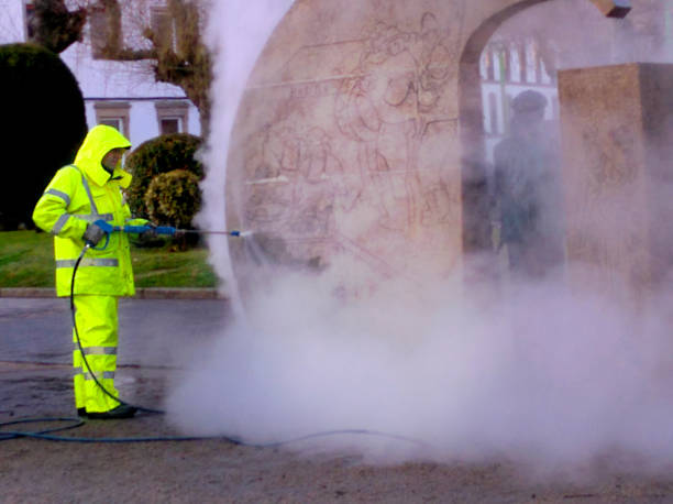 Best Roof Pressure Washing  in Marmora, NJ
